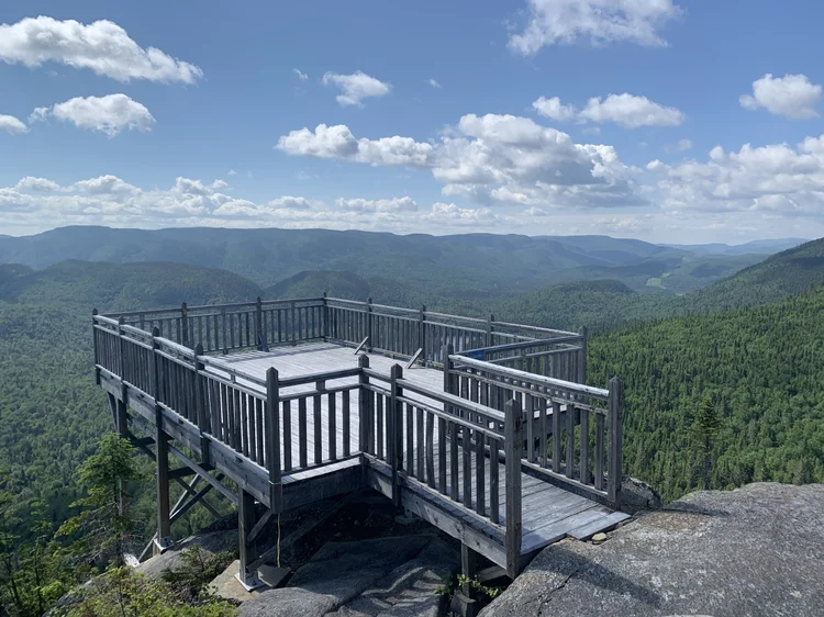 La panoramix (Numéro 1)
