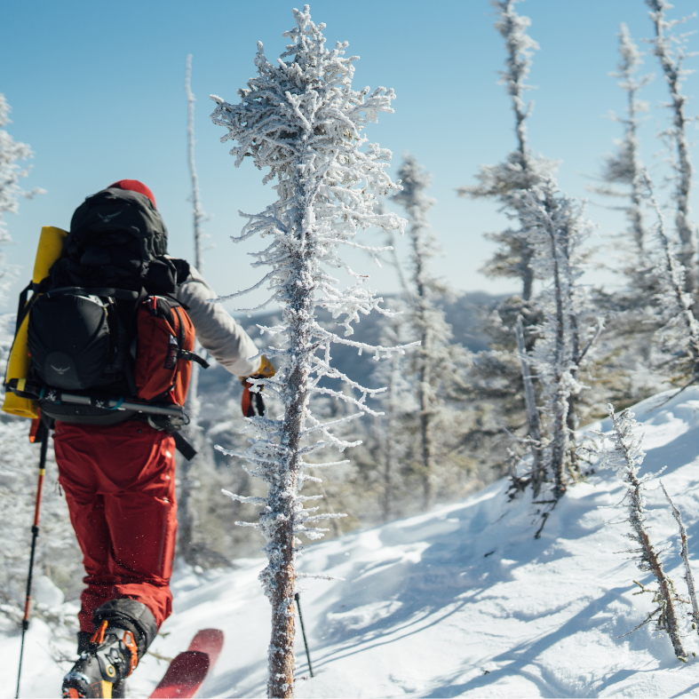 Ski de Fond + Haute-Route