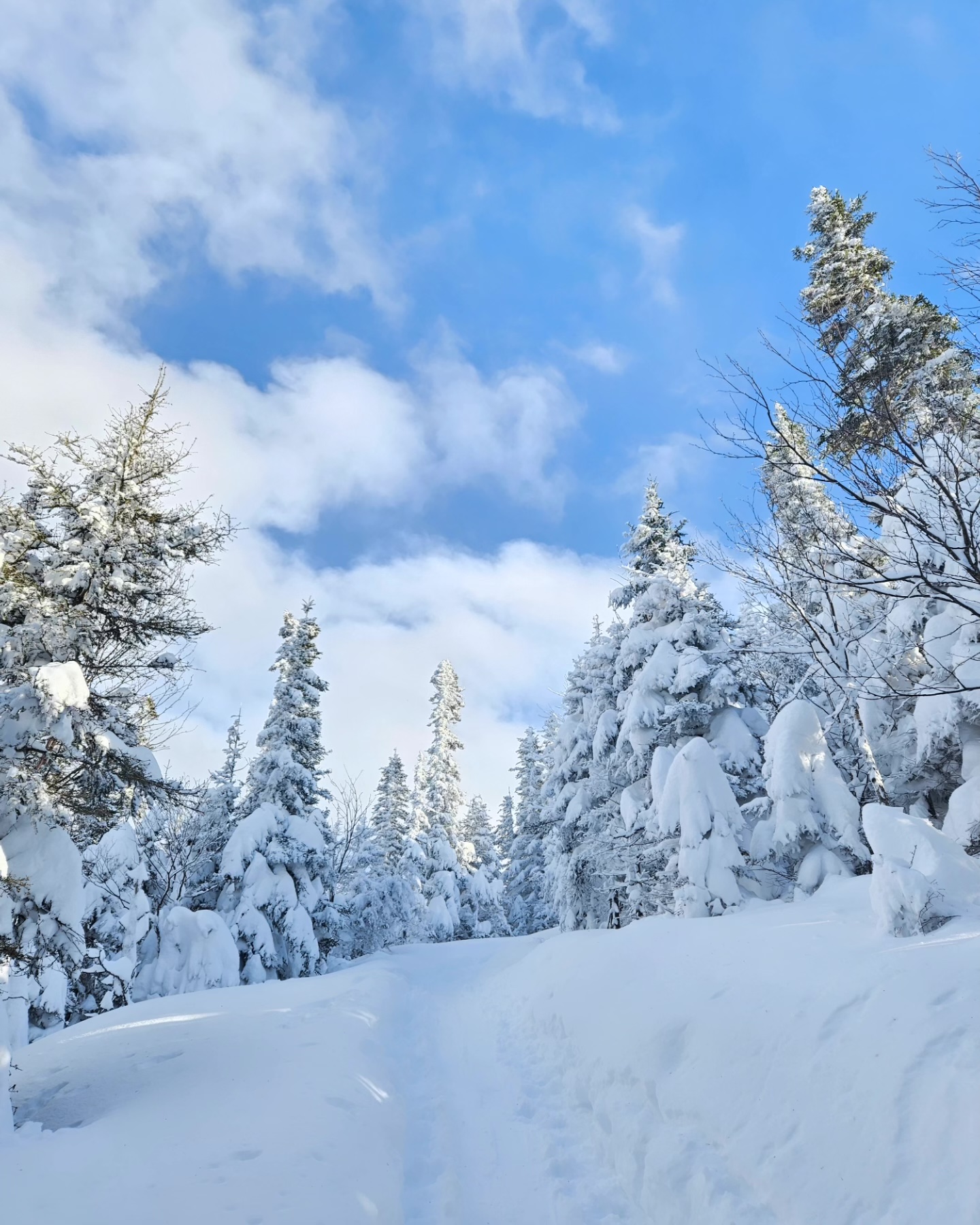 Billet journalier - Rando Alpine