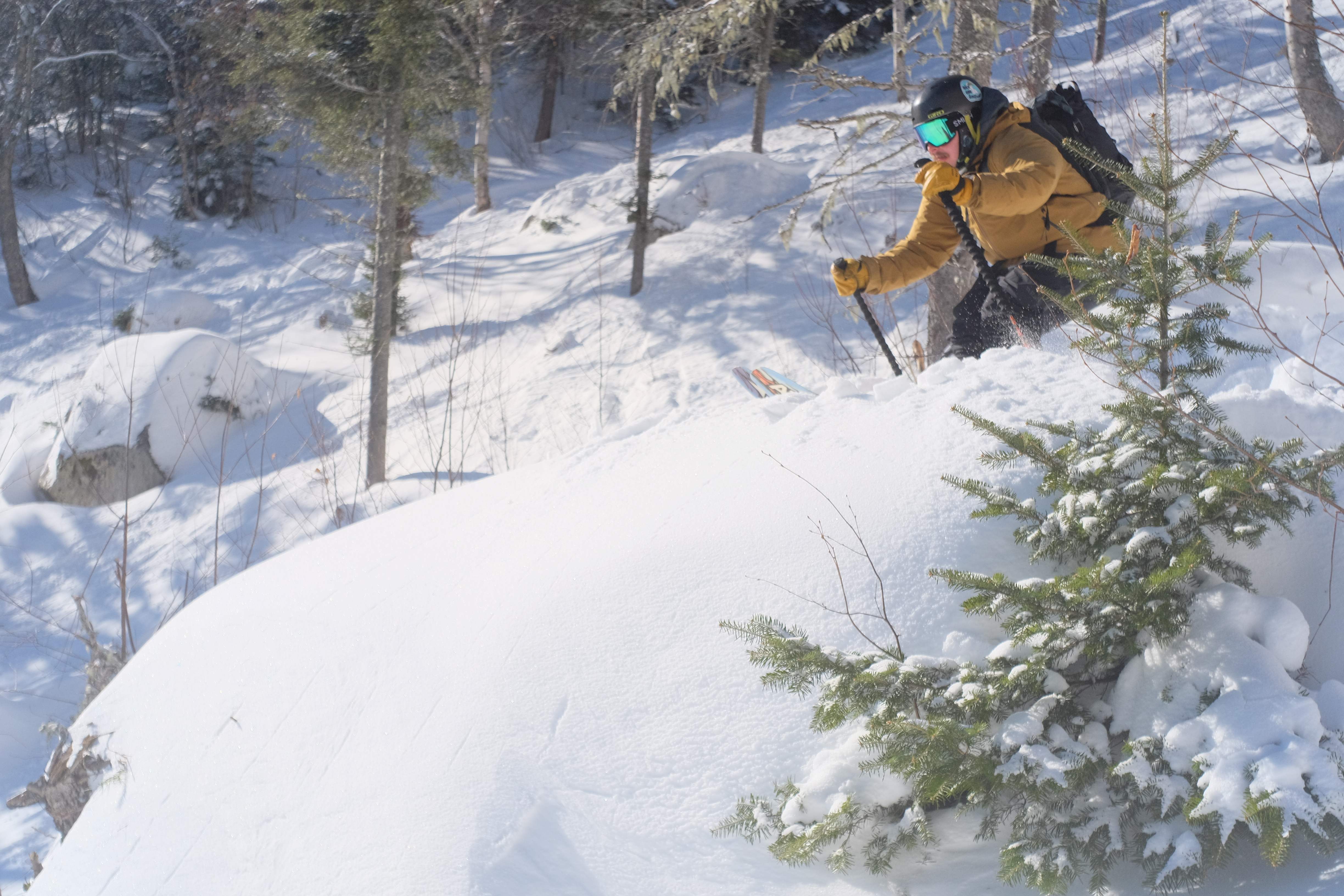 Ski de Fond + Haute-Route + Fatbike