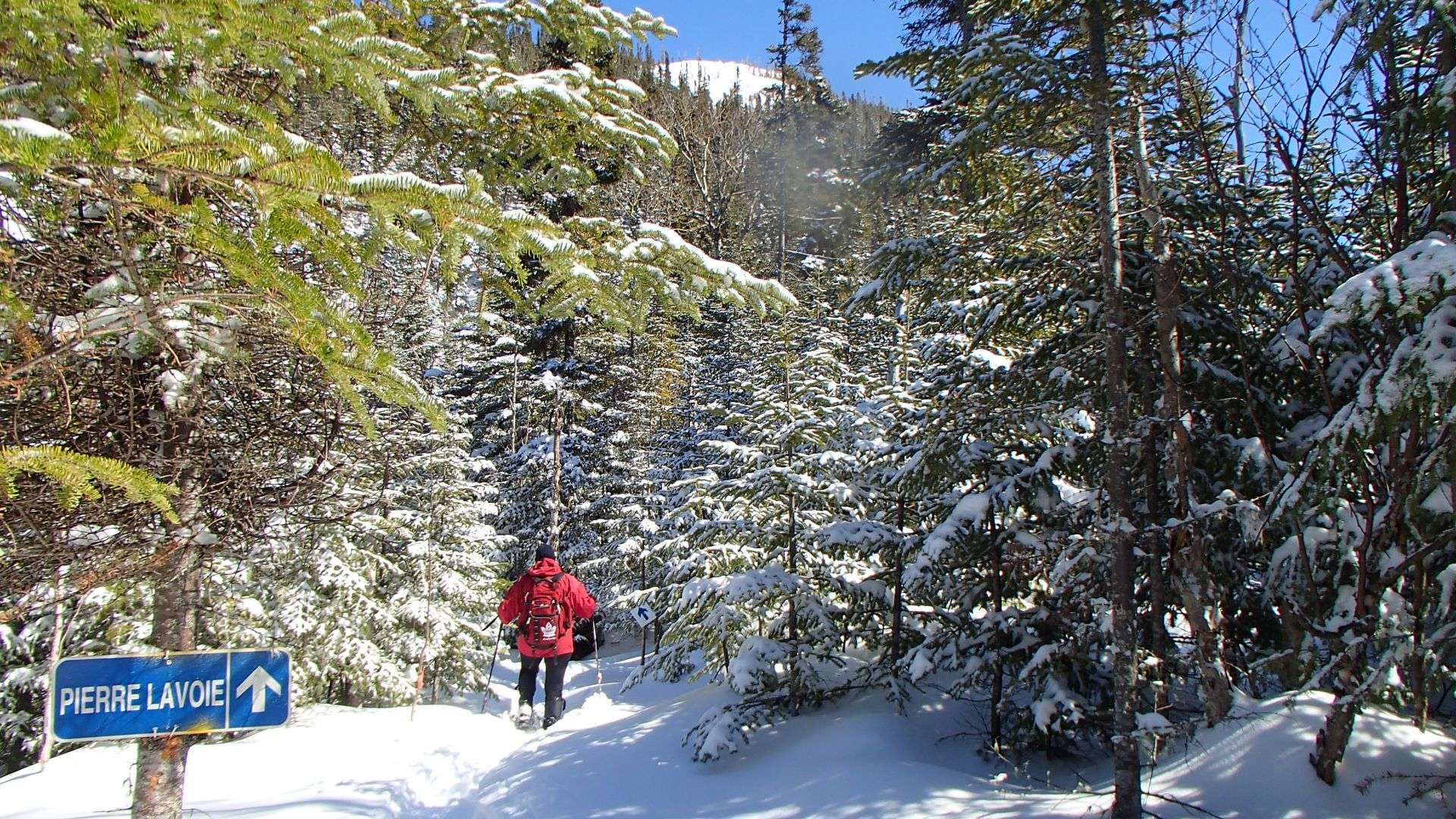 Billet journalier Raquette